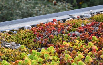 the cost of Horningsham green roof installation