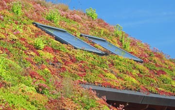 Horningsham living roof systems